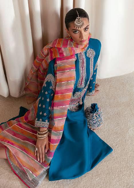 Hussain Rehar Lawn Collection – Elegant Printed Lawn with Organza Touch